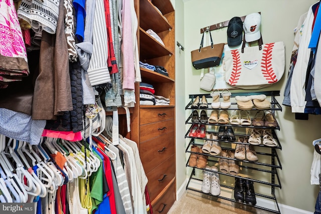 24830 Showbarn Cir, Damascus, MD 20872 - view of spacious closet