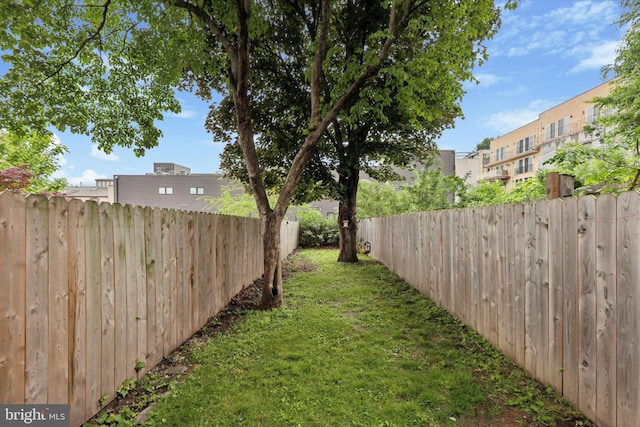 224 Dupont St, Philadelphia, PA 19127 - view of yard