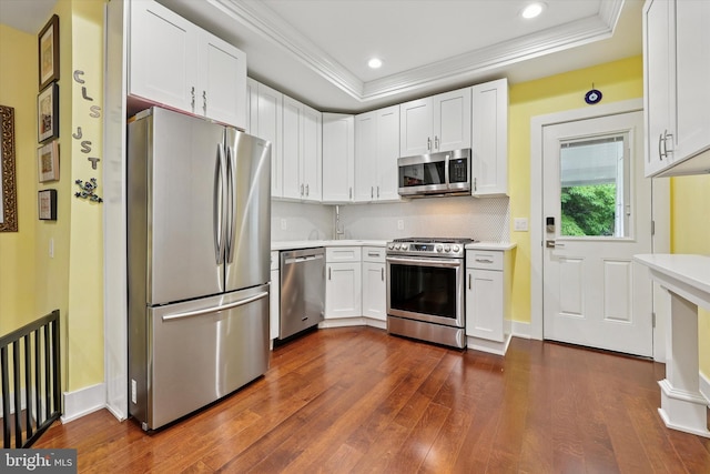 224 Dupont St, Philadelphia, PA 19127 - kitchen with stainless steel appliances, dark wood-style flooring, ornamental molding, light countertops, and backsplash