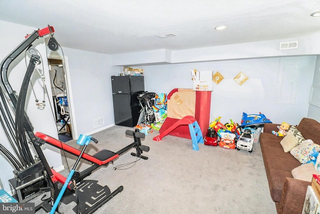 386 Braddock Rd, Smyrna, DE 19977 - workout area featuring carpet flooring and electric panel