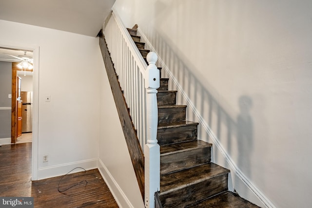 4749 Marple St, Philadelphia, PA 19136 - stairs featuring baseboards, wood finished floors, and ceiling fan