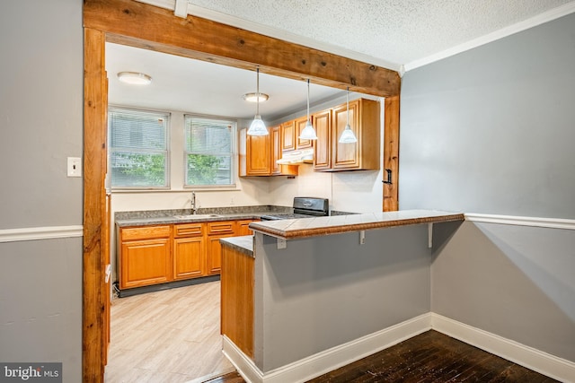 4749 Marple St, Philadelphia, PA 19136 - kitchen with under cabinet range hood, gas range, a sink, light wood-style flooring, and a peninsula
