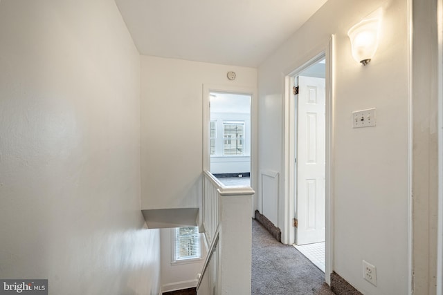 4749 Marple St, Philadelphia, PA 19136 - corridor featuring an upstairs landing, carpet floors, and plenty of natural light