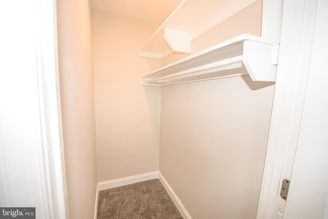 2116 E Hoffman St, Baltimore, MD 21213 - spacious closet with carpet flooring