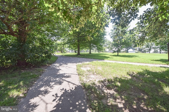 2116 E Hoffman St, Baltimore, MD 21213 - view of property's community with a lawn