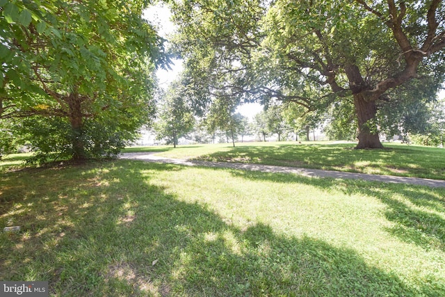2116 E Hoffman St, Baltimore, MD 21213 - view of grassy yard