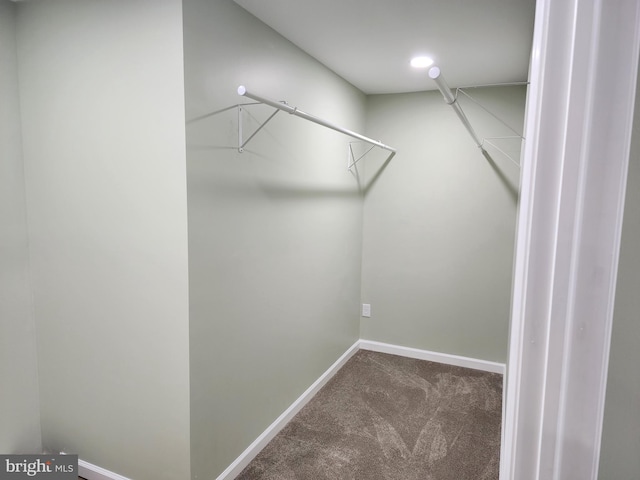51 Maple St, Cumberland, MD 21502 - walk in closet with carpet floors
