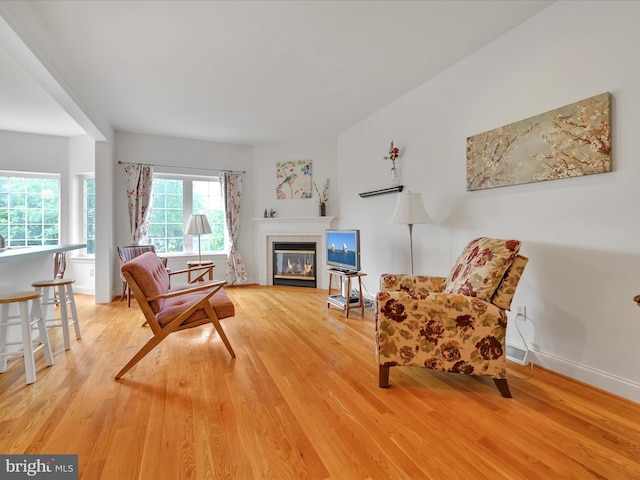 1082 Stillwood Cir, Lititz, PA 17543 - living room featuring wood finished floors and a glass covered fireplace