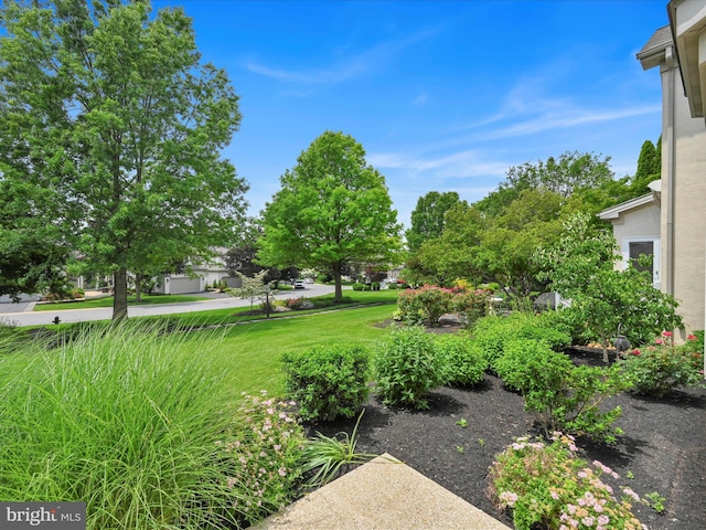 1082 Stillwood Cir, Lititz, PA 17543 - view of yard