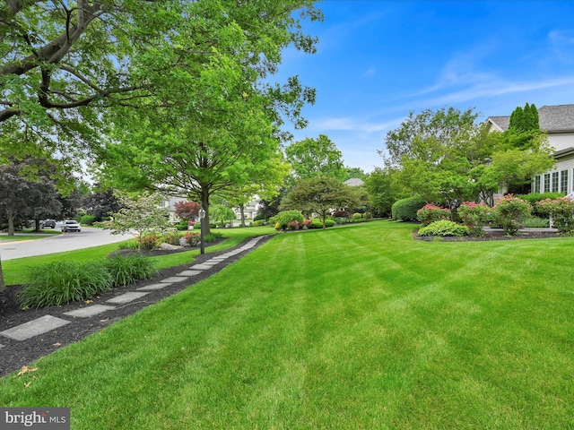 1082 Stillwood Cir, Lititz, PA 17543 - view of green lawn