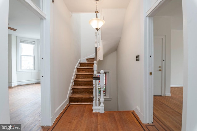 2638 E Baltimore St, Baltimore, MD 21224 - stairway with wood finished floors and baseboards