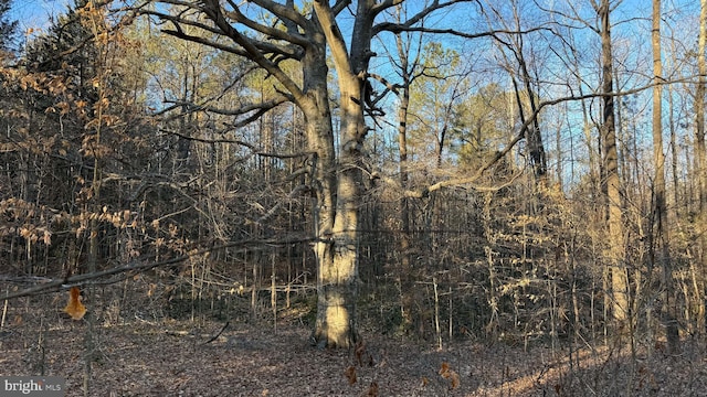 00 Layell Rd, Beaverdam, VA 23015