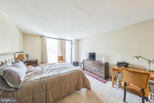 6101 Edsall Rd Unit 702, Alexandria, VA 22304 - view of carpeted bedroom