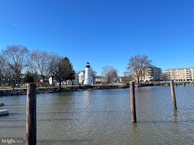 212 S Union Ave, Havre De Grace, MD 21078 - dock area featuring a water view