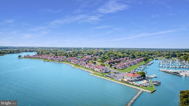 15 Queen Anne Way Unit E, Chester, MD 21619 - aerial view of a nearby body of water and numerous boat docks