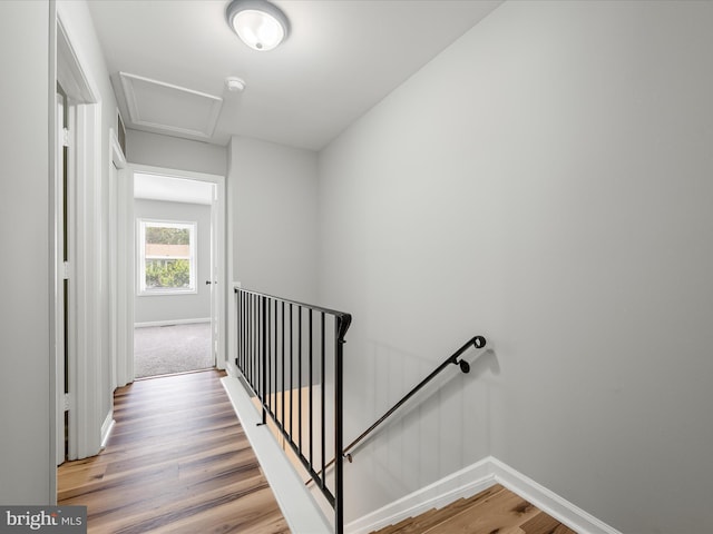 237 Kimberly Way, Winchester, VA 22601 - stairway with wood finished floors, baseboards, and attic access