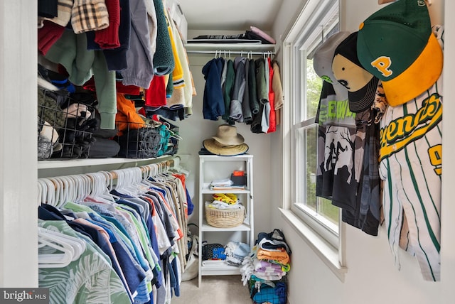 10000 Manor Pl, Fairfax, VA 22032 - view of spacious closet
