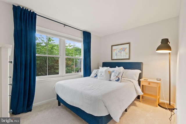10000 Manor Pl, Fairfax, VA 22032 - bedroom with carpet flooring and baseboards