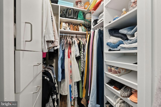 10000 Manor Pl, Fairfax, VA 22032 - view of spacious closet