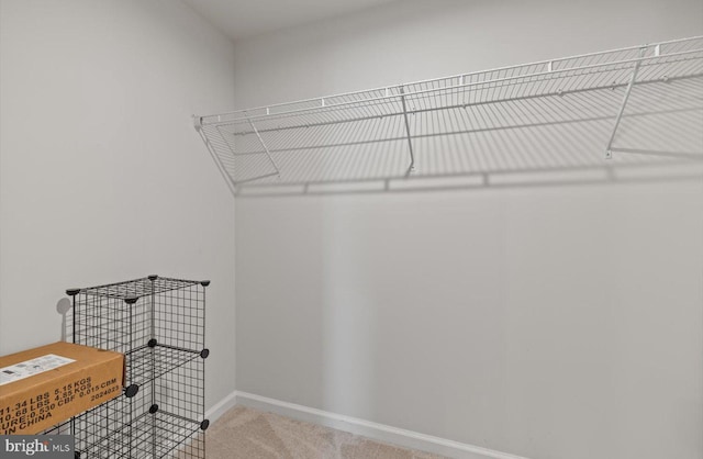 25040 Treeview Ln, Lewes, DE 19958 - walk in closet featuring light carpet