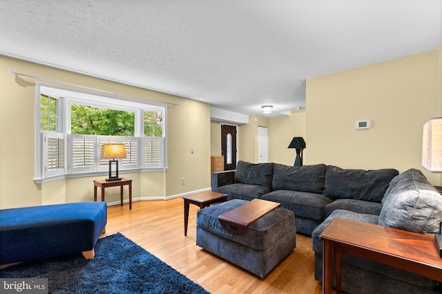 260 Whistling Pine Rd, Severna Park, MD 21146 - living area featuring wood finished floors, baseboards, and a textured ceiling