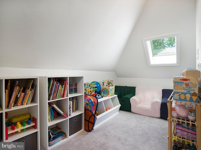 1204 Drexel Ave, Drexel Hill, PA 19026 - playroom featuring lofted ceiling, carpet flooring, and a skylight