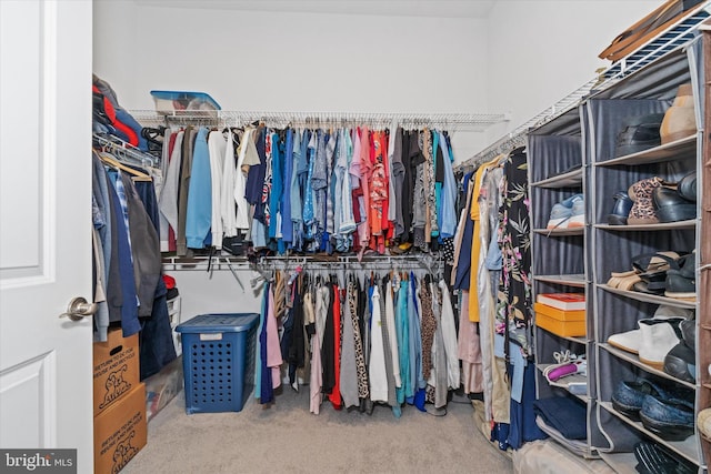 21336 Dauphine St, Lewes, DE 19958 - walk in closet featuring carpet flooring