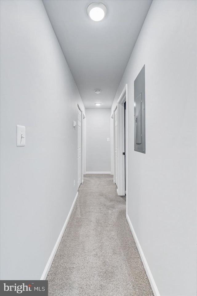 2005 Magnolia Woods Ct Unit 2005-D, Edgewood, MD 21040 - corridor with electric panel, light colored carpet, and baseboards
