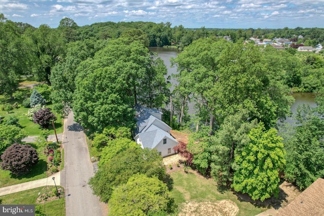 45 S Shore Dr, Dover, DE 19901 - aerial view of a large body of water