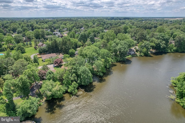 45 S Shore Dr, Dover, DE 19901 - bird's eye view of a nearby body of water and a forest