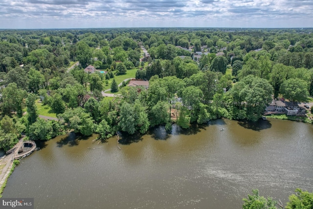 45 S Shore Dr, Dover, DE 19901 - aerial view of a large body of water and a forest