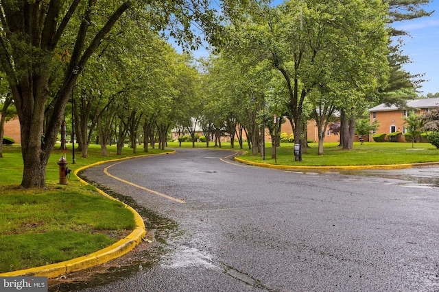 132 The Orchards Unit I, East Windsor, NJ 08520 - view of asphalt road with curbs