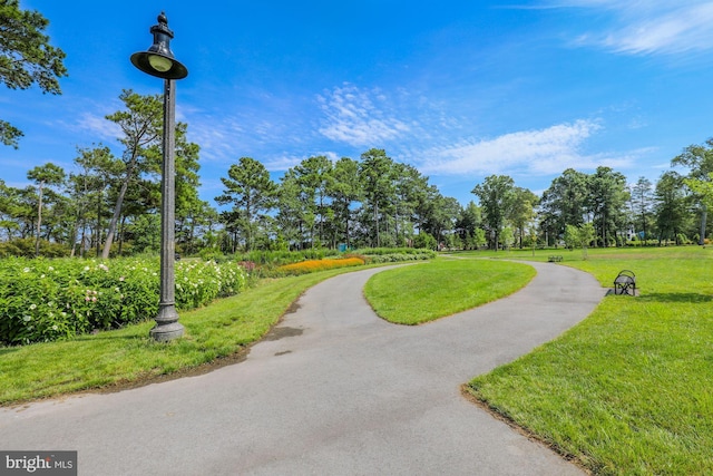 41 Beach Club Ave, Ocean View, DE 19970 - view of community featuring a yard and view of wooded area