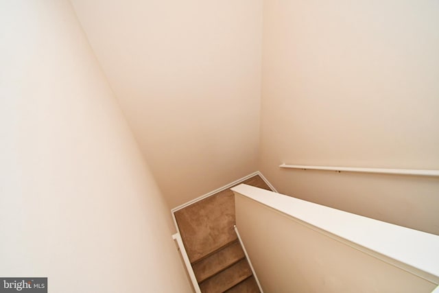 1664 Brynne Ln, Pottstown, PA 19464 - staircase with baseboards