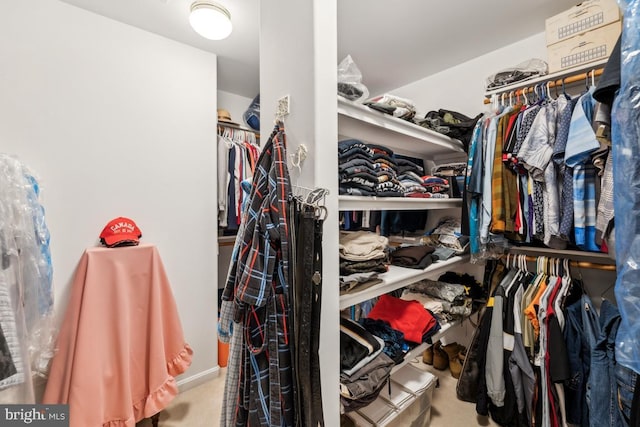 45 Saint Marys Ln, Stafford, VA 22556 - spacious closet with carpet