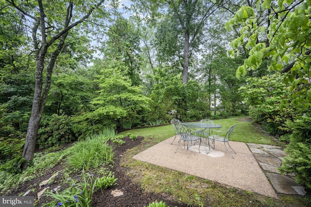 5408 Wehawken Rd, Bethesda, MD 20816 - view of green lawn featuring a patio