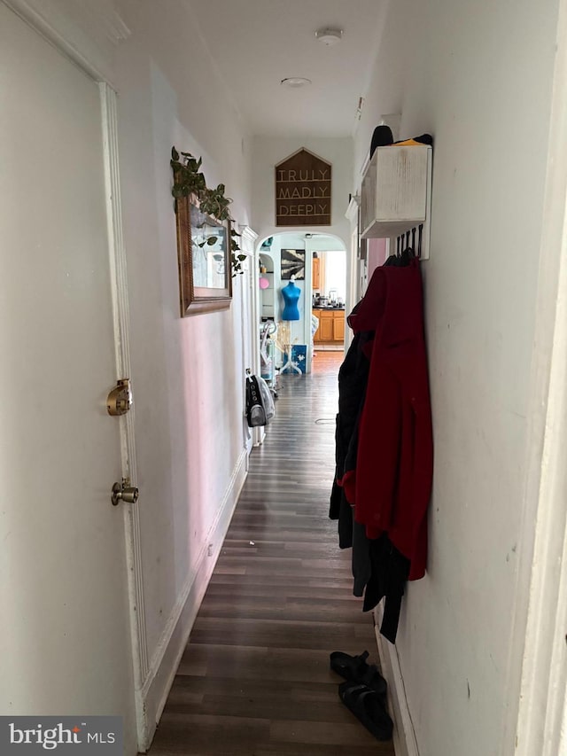 1512 Lindley Ave, Philadelphia, PA 19141 - hall featuring wood finished floors and arched walkways