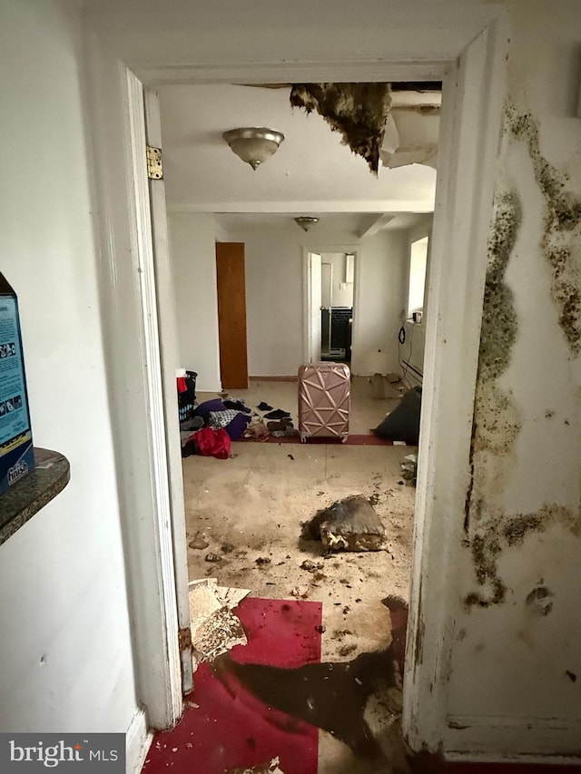 1512 Lindley Ave, Philadelphia, PA 19141 - view of corridor