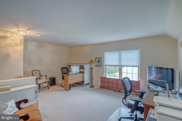 73 Springmill Dr, Middletown, DE 19709 - office space featuring carpet and vaulted ceiling