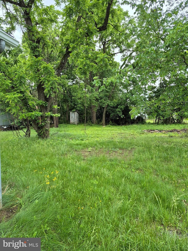 1106 Moreland Gap Rd, New Market, VA 22844 - view of yard