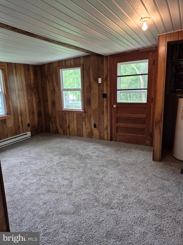 1106 Moreland Gap Rd, New Market, VA 22844 - unfurnished living room with water heater, carpet, wood walls, and a baseboard heating unit