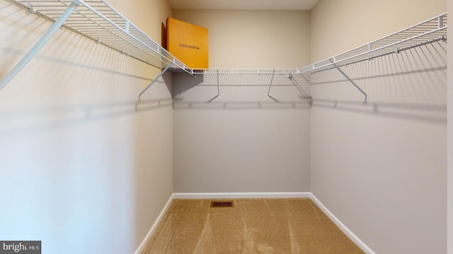 11276 Davisar Rd Unit 80, White Marsh, MD 21162 - walk in closet with carpet floors