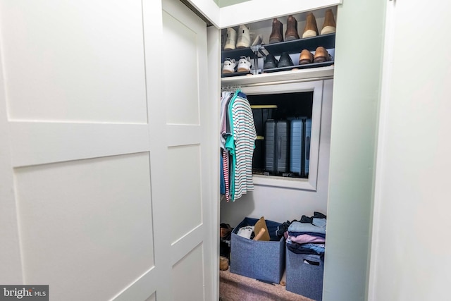 167 Windmill Rd, Willow Grove, PA 19090 - view of closet