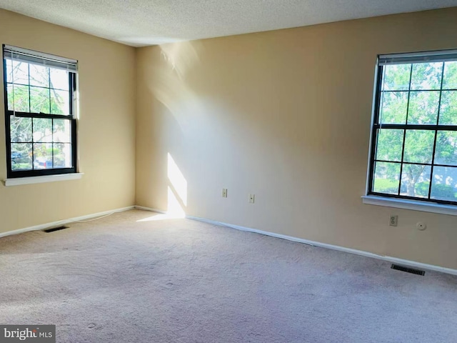 86 Oneill Ct, Trenton, NJ 08648 - carpeted spare room with plenty of natural light, a textured ceiling, and baseboards