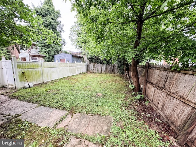 2411 N W St, Wilmington, DE 19802 - view of yard