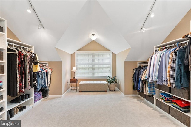 25 Ginnie Ln, West Windsor, NJ 08550 - spacious closet with vaulted ceiling and carpet flooring
