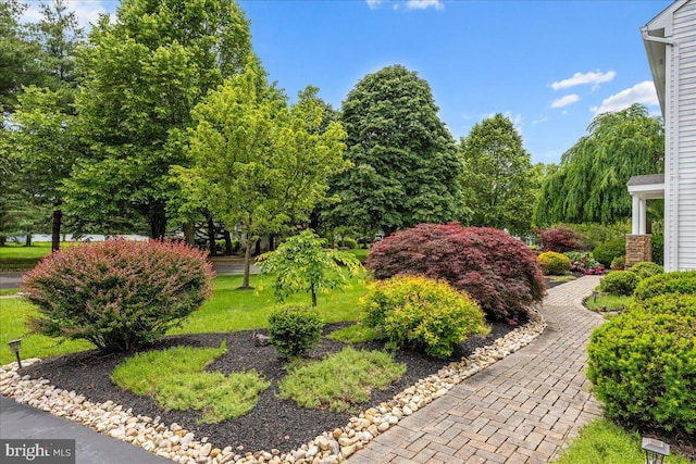 25 Ginnie Ln, West Windsor, NJ 08550 - view of yard