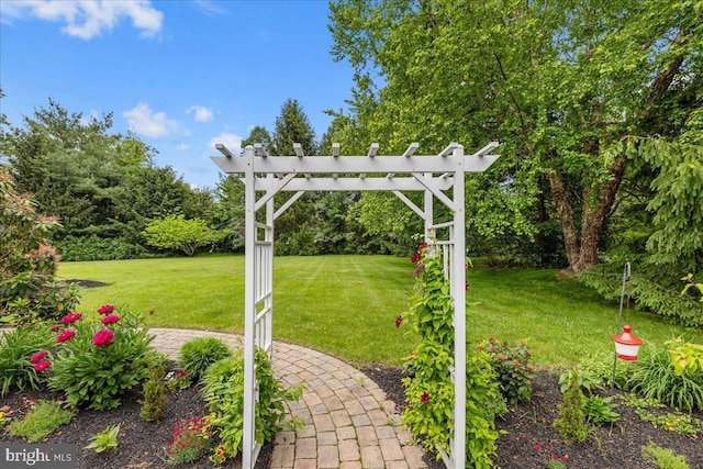 25 Ginnie Ln, West Windsor, NJ 08550 - view of green lawn with view of wooded area