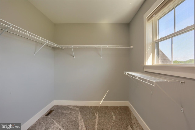 104 Lightfoot Ln, Dillsburg, PA 17019 - spacious closet with carpet