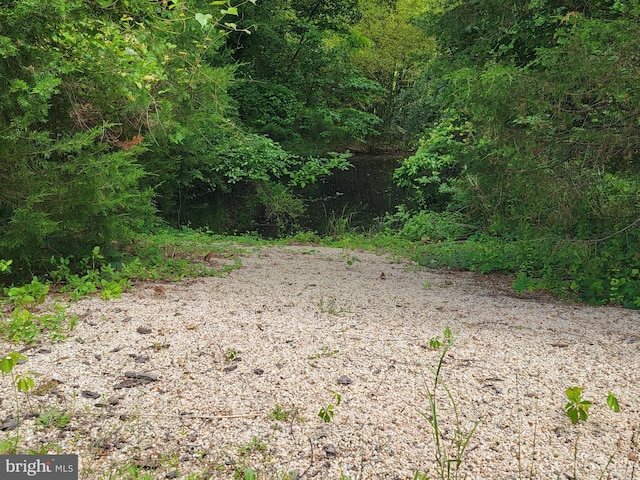21785 Watson Rd, Leesburg, VA 20175 - view of wooded area